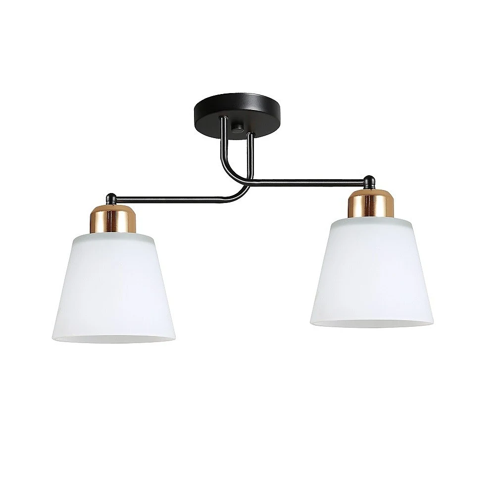 Потолочная люстра ЭкономСвет 12197 12197/2BK+GD WT